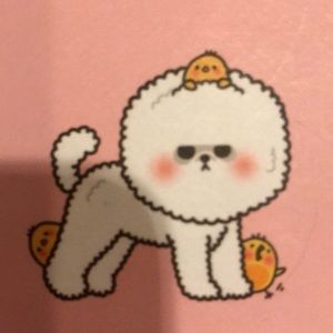 Meet your Posher, Hwa